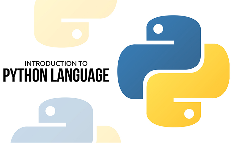 Python : les bases complètes pour débutants